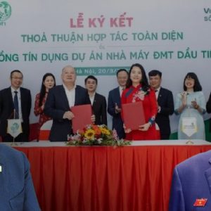 Xuân Cầu và đế chế gia tộc họ Tô